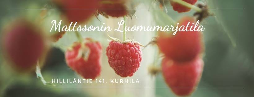 Mattssonin luomumarjatila