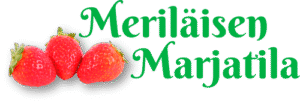Meriläisen marjatila