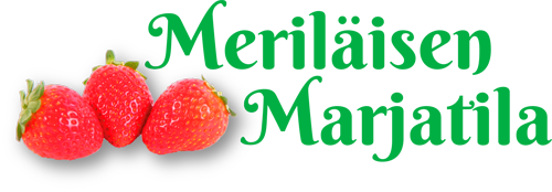Meriläisen marjatila